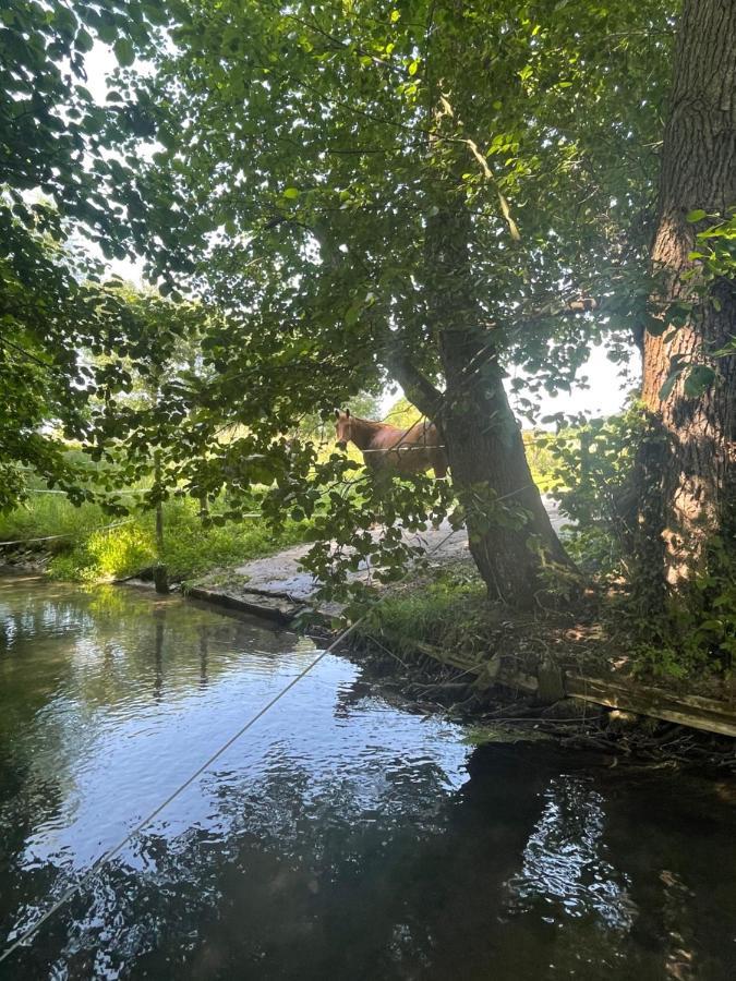 Gite « Le Moulin » A 2 Pas De La Mer Saint-Martin-le-Gaillard エクステリア 写真